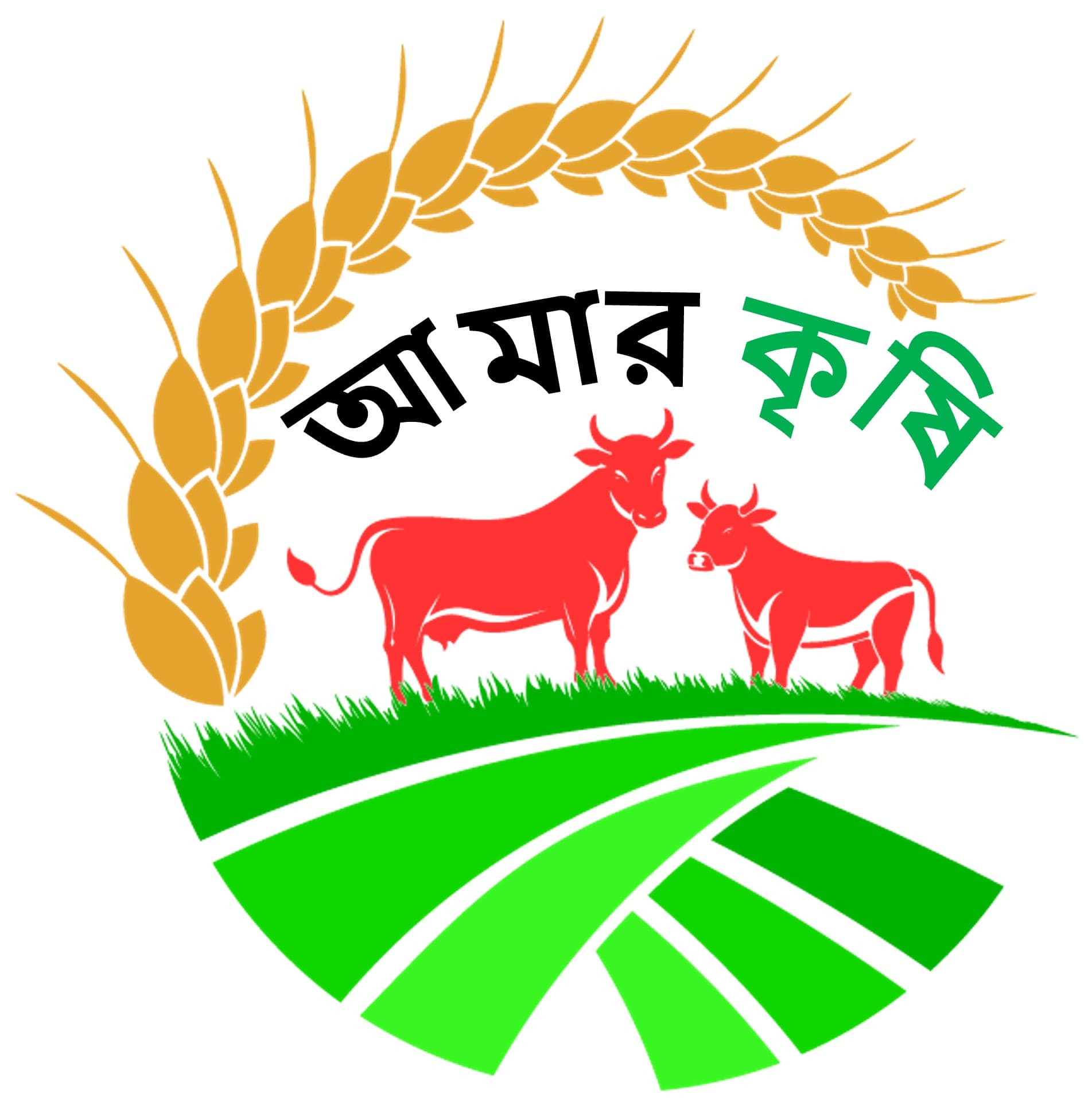 আমের নতুন বাজার মালয়েশিয়া, জুনেই আসছে পরিদর্শক দল